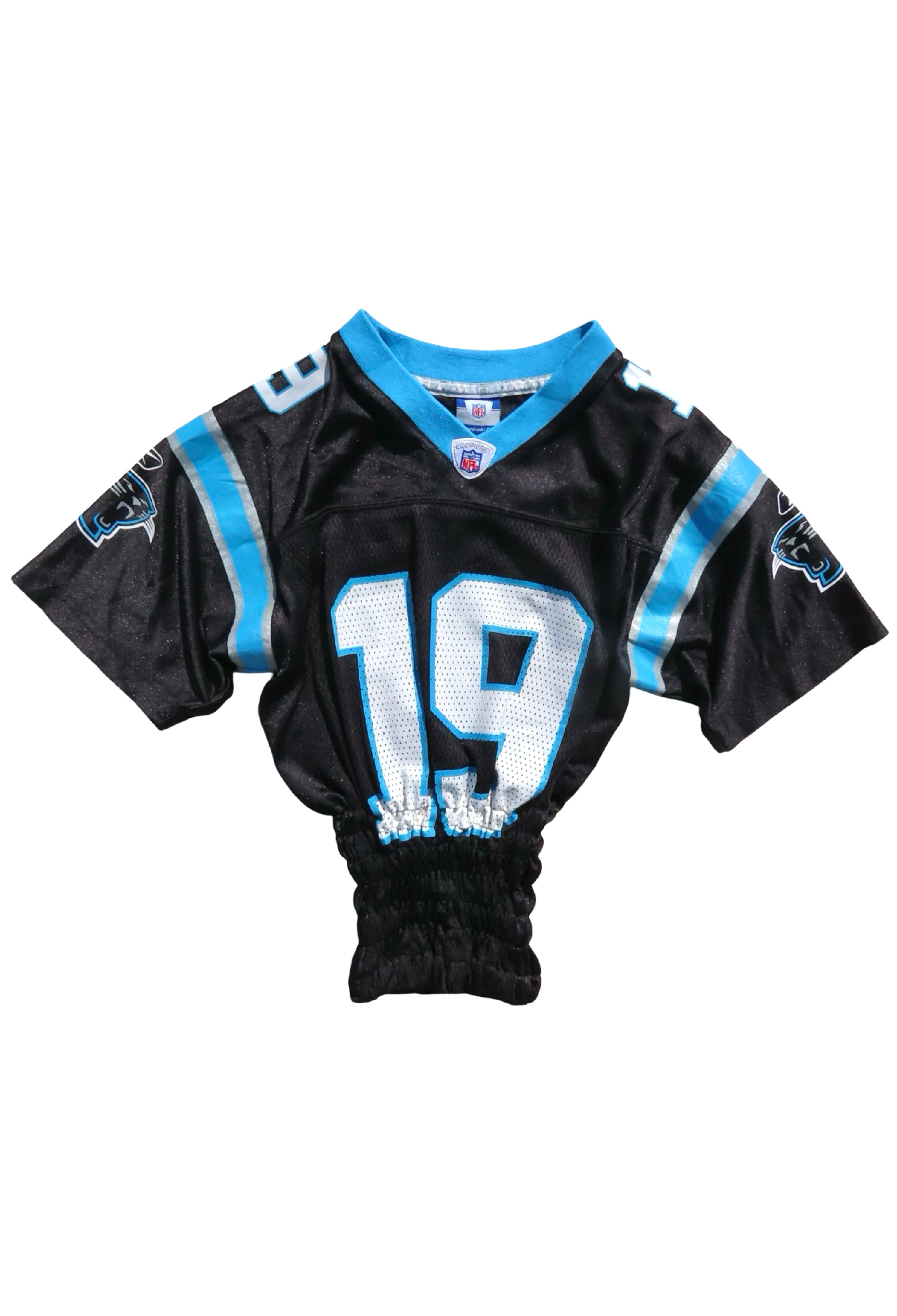 Vintage Reworked Panthers Jersey