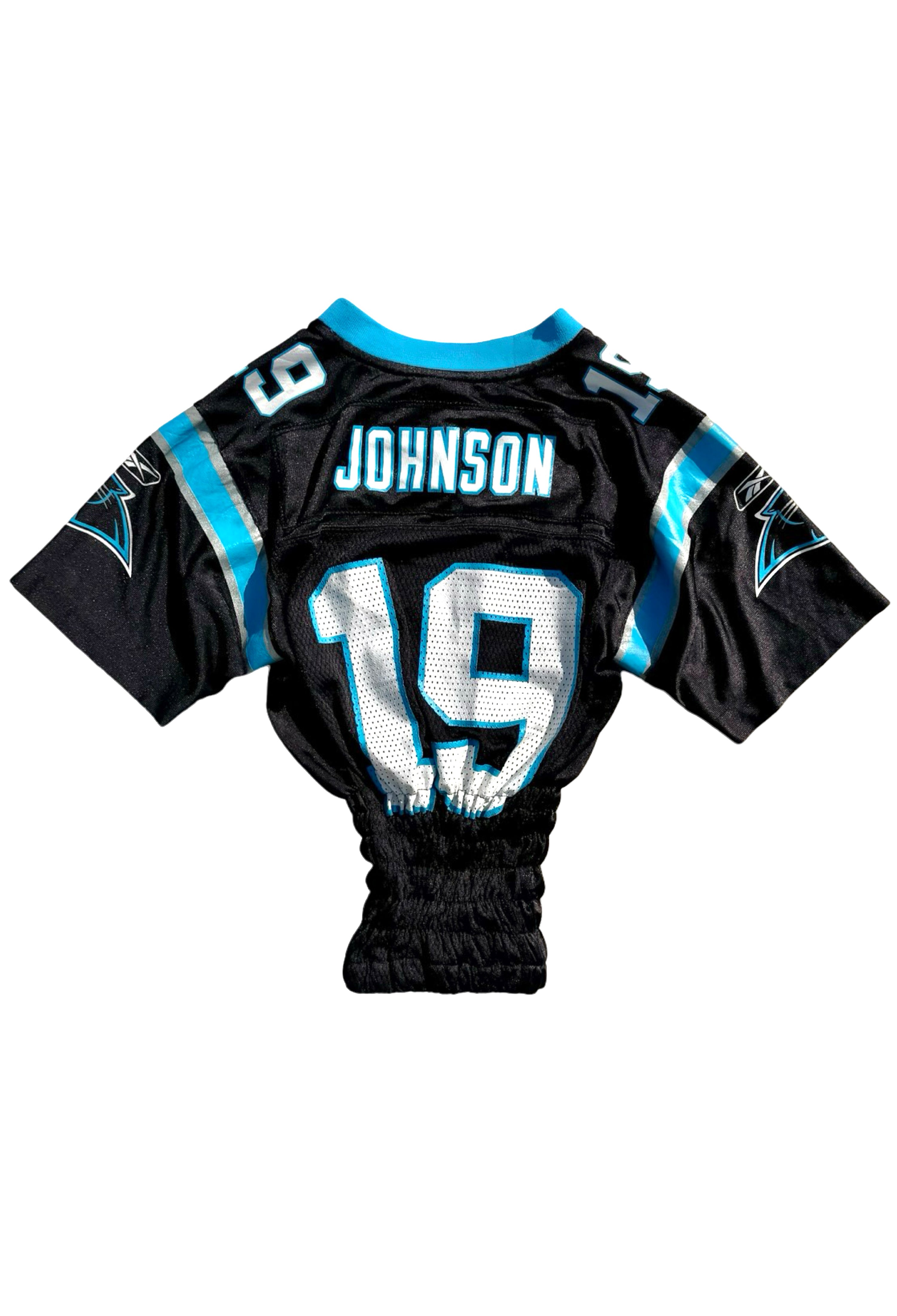 Vintage Reworked Panthers Jersey